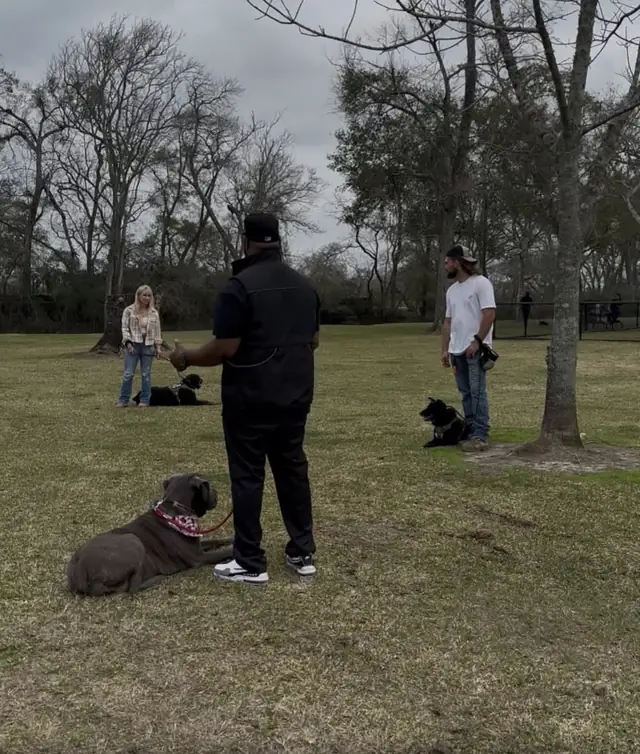 CJ coaching two clients and their dogs holding a down stay in an open park