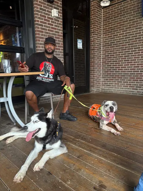 CJ sitting on a restaurant patio with a husky and a pit bull settled at his feet