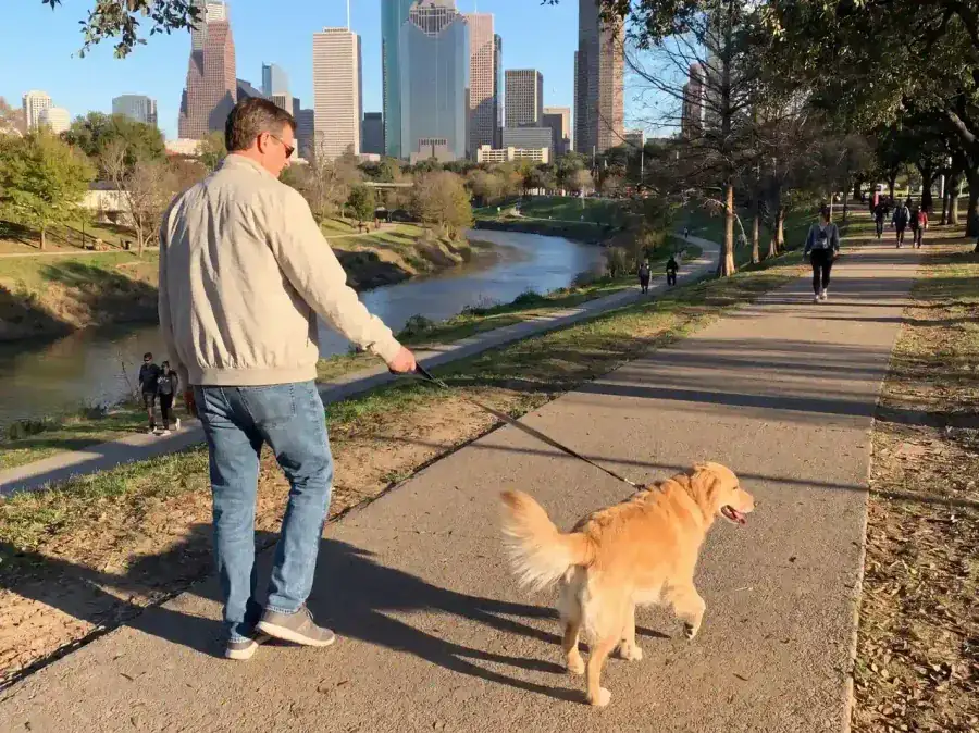 CJ's Dog Training