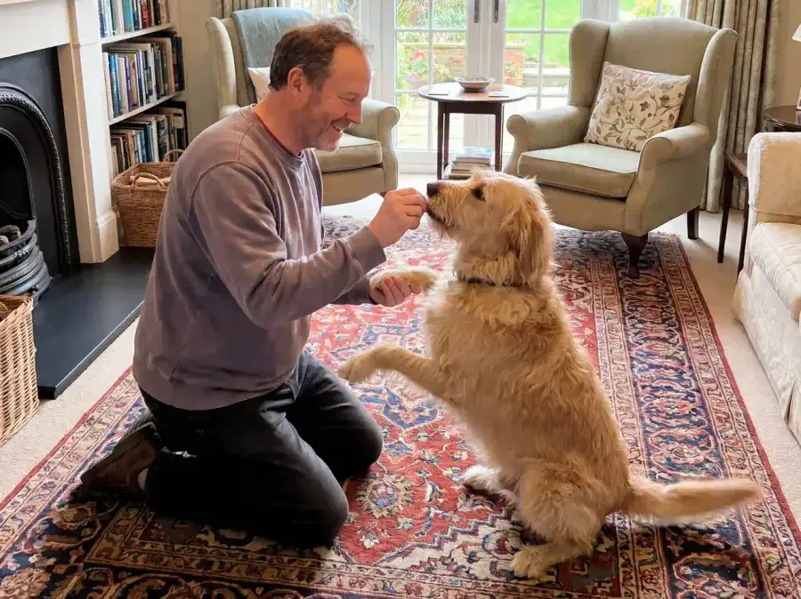In-Home Dog Training